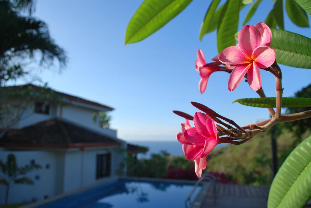 Casa Frangipani Hotell Montezuma Exteriör bild
